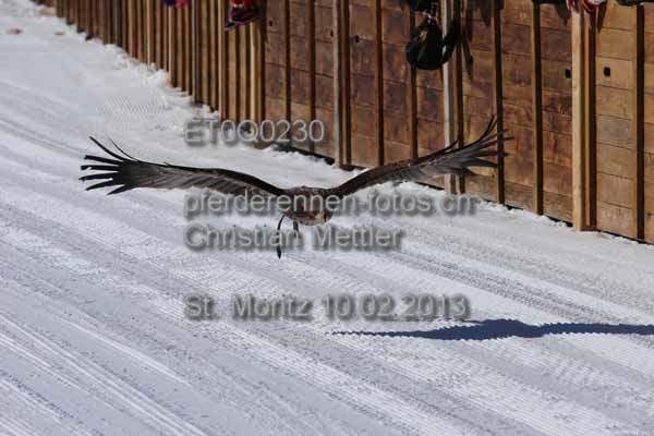 ET0Q0230 prot